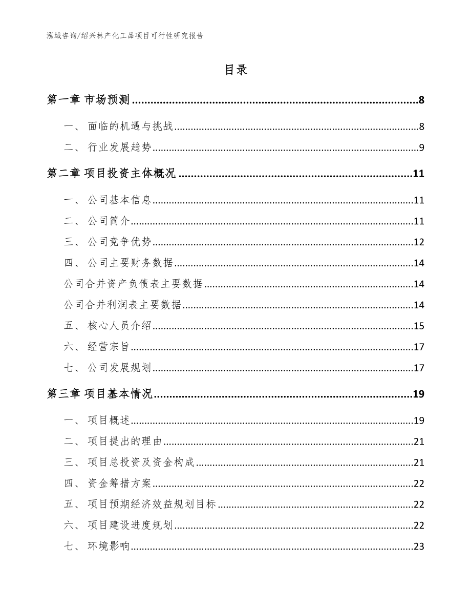 绍兴林产化工品项目可行性研究报告（范文模板）_第2页