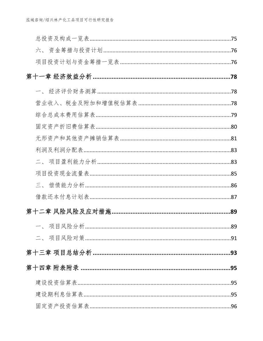 绍兴林产化工品项目可行性研究报告（范文模板）_第5页