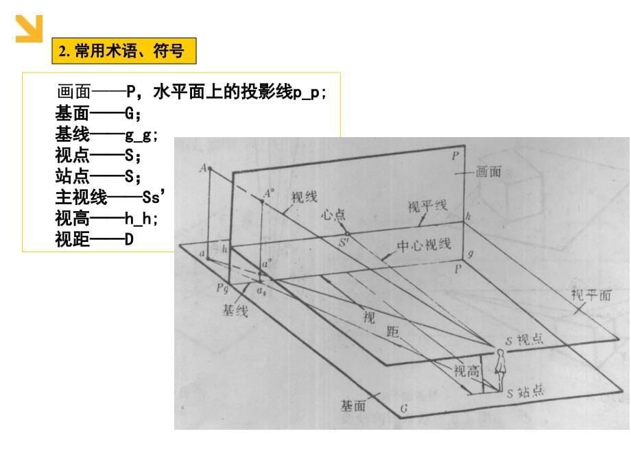 园林制图之透视PPT课件_第5页