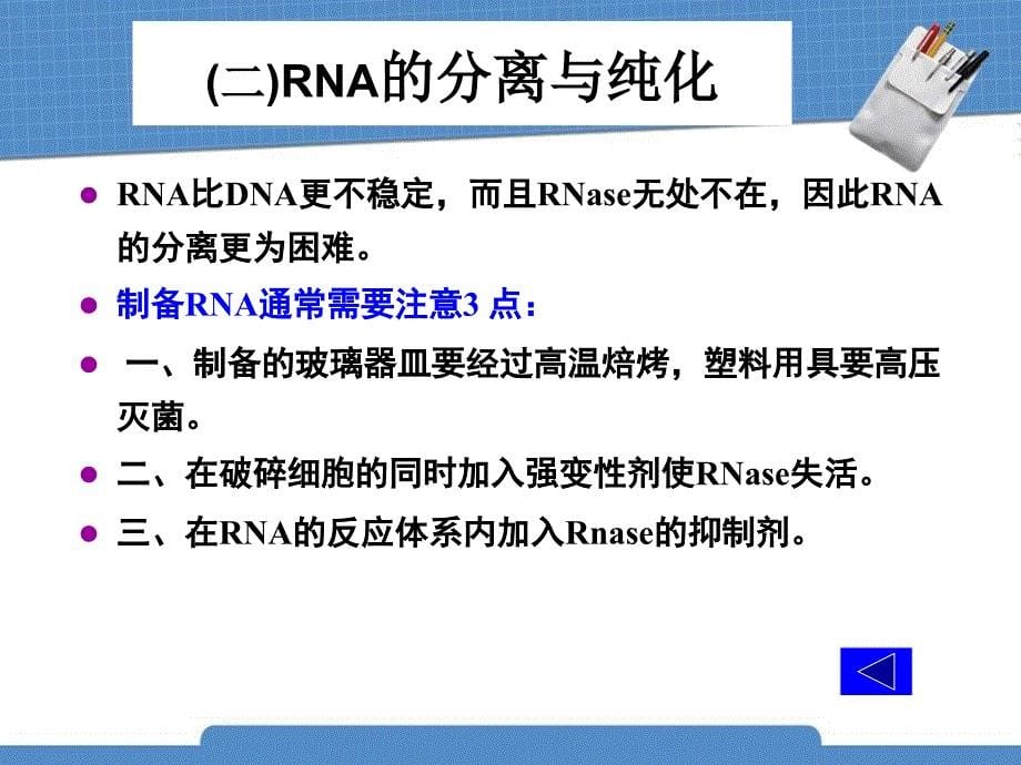 生物化学（上）：15核酸的研究方法_第5页