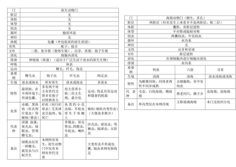 无脊椎动物总结表格为生竞的孩子们样本_第1页