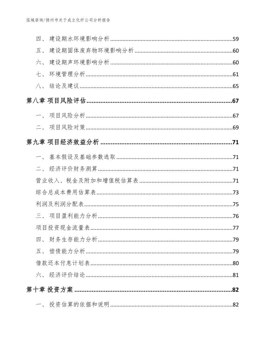 扬州市关于成立化纤公司分析报告模板参考_第5页