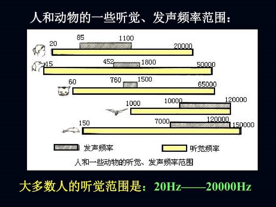 第三节 声音的特性sn_第5页