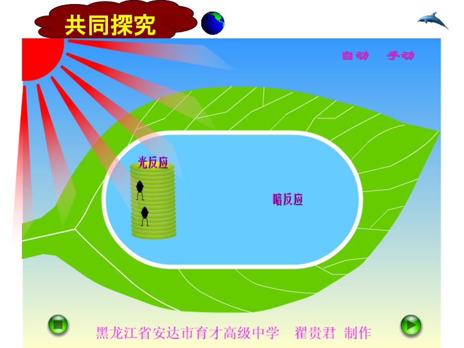 生物能量之源光与光合作用课件新人教版必修_第4页