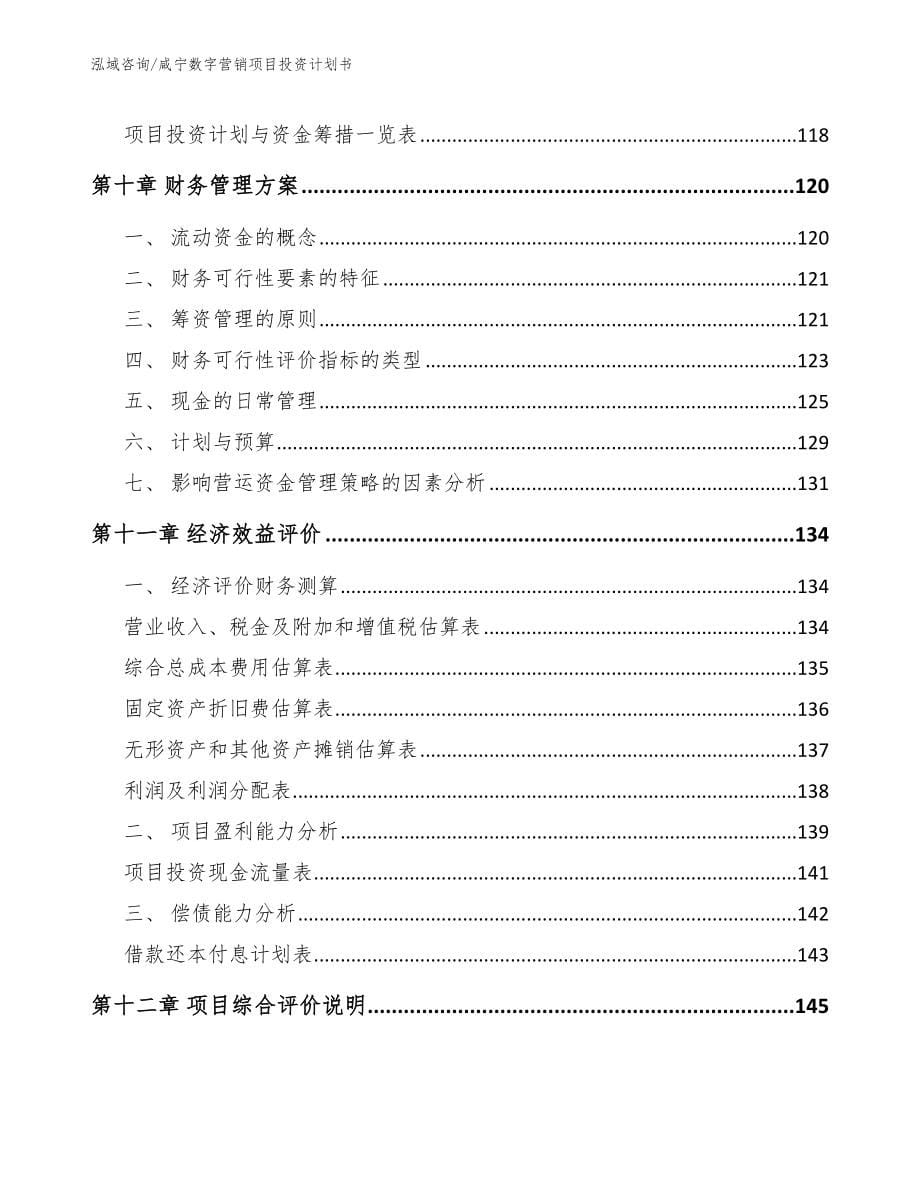 咸宁数字营销项目投资计划书_第5页