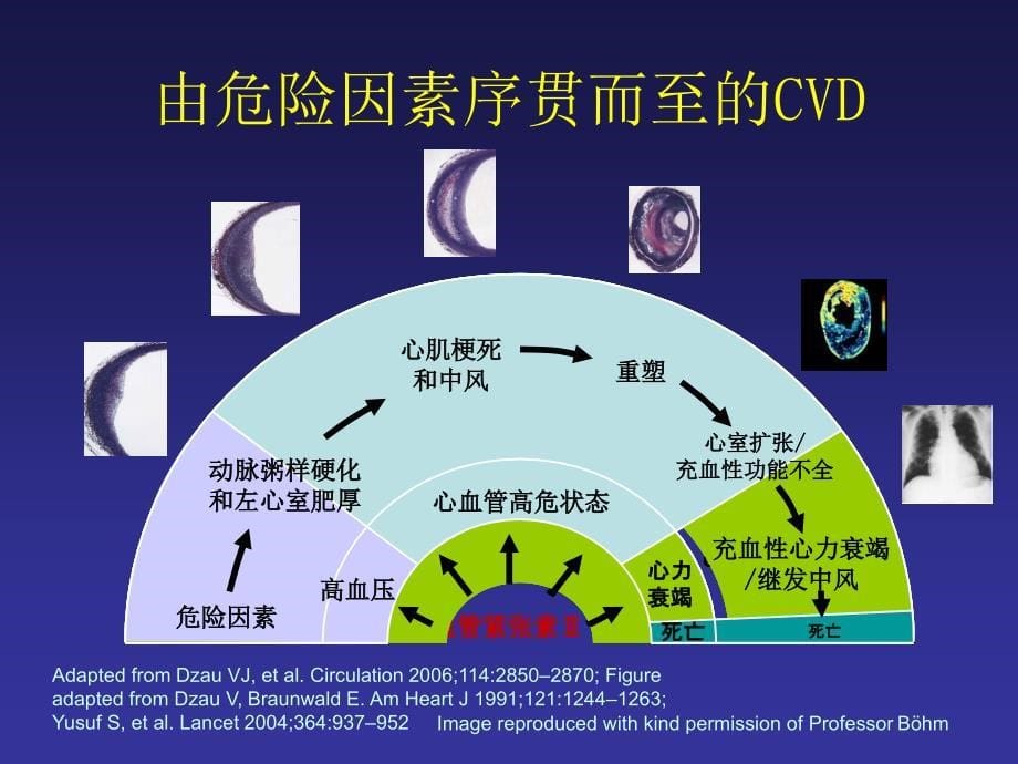 心血管病传统和新危险因素评价_第5页