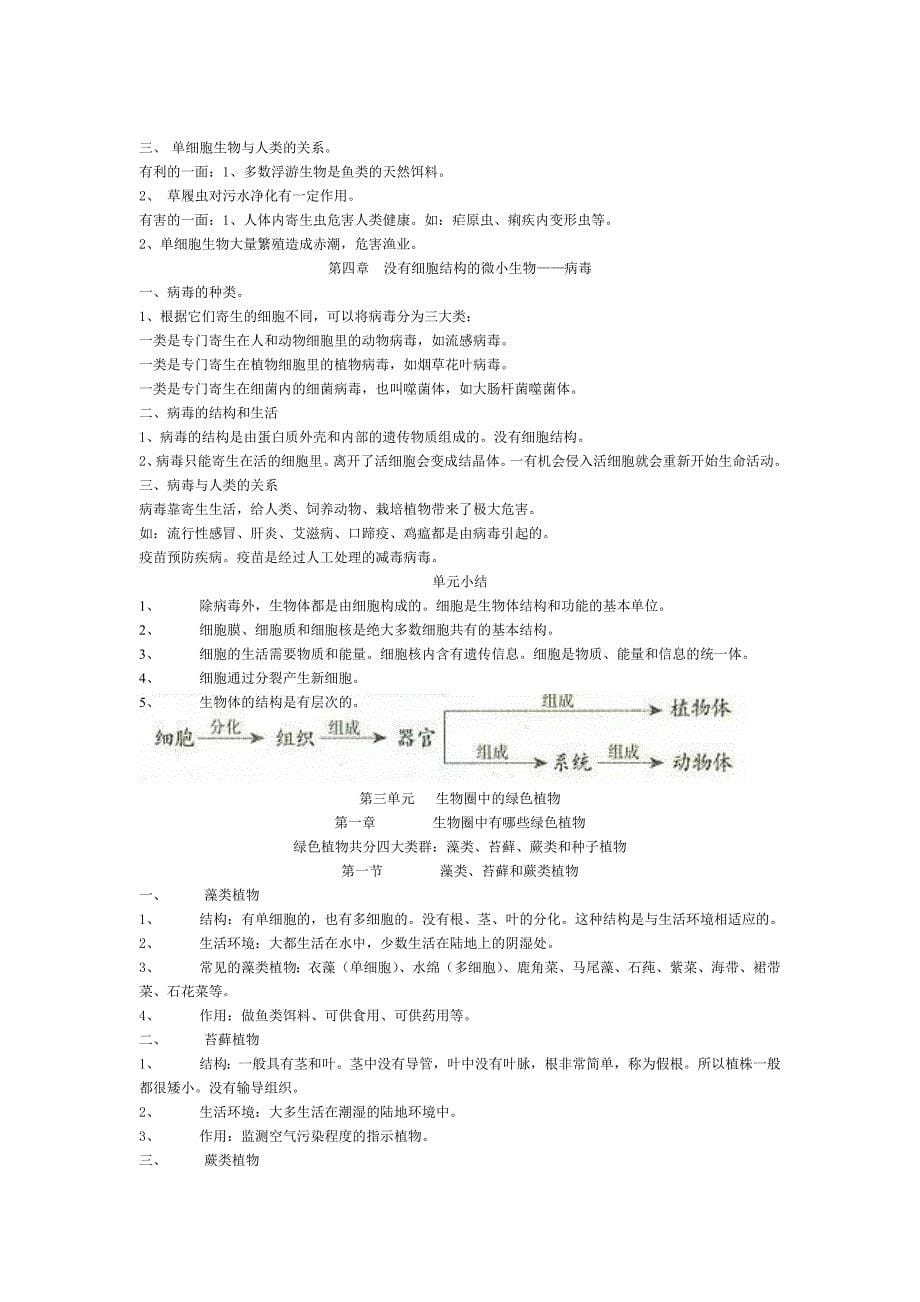 中考生物总复习提纲.doc_第5页