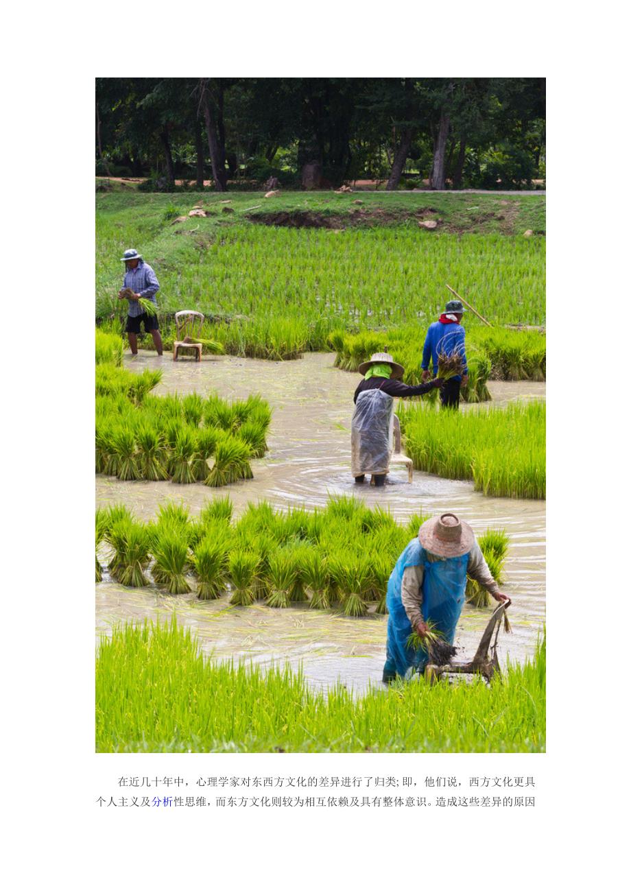 祖先播下的种子塑造了你_第2页