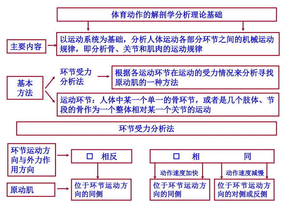 运动解剖学：21 技术动作的解剖学分析 (二)_第2页