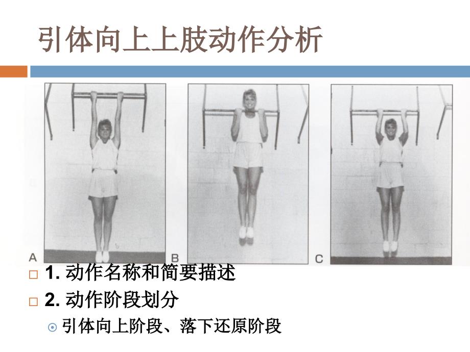 运动解剖学：21 技术动作的解剖学分析 (二)_第4页