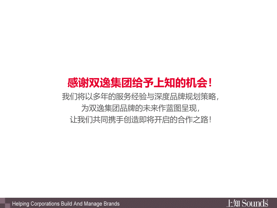 某集团品牌规划项目建议书PPT课件_第3页