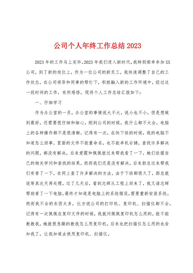 公司个人年终工作总结2023年.docx