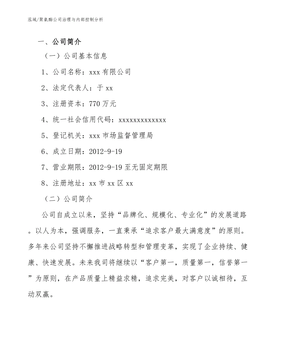 聚氨酯公司治理与内部控制分析_第3页