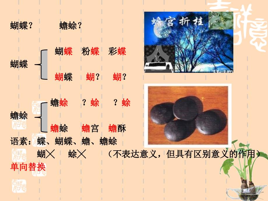 现代汉语语法第二章.ppt_第5页