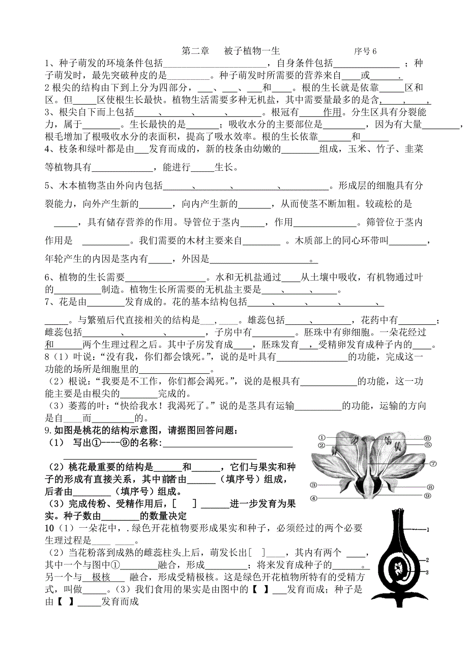 被子植物的一生_第1页