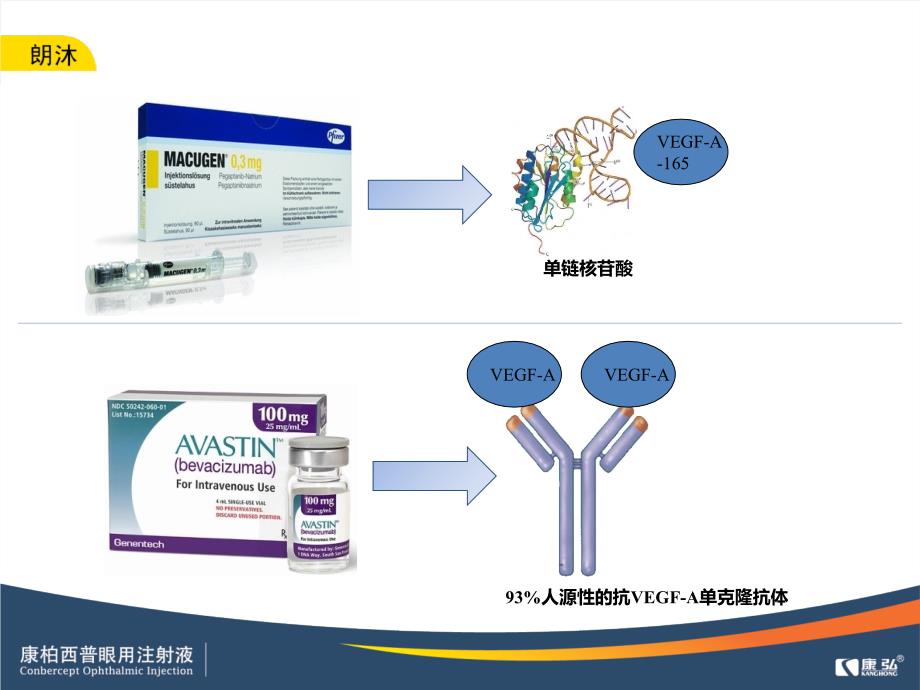 专家谈康柏西普ppt课件_第5页