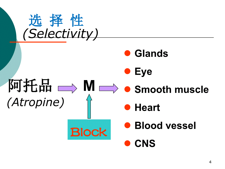 药理学课件：第三章 受体理论与药物效应动力学_第4页