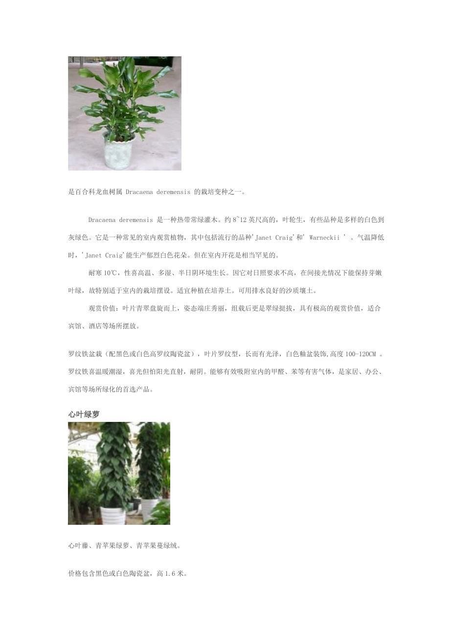室内常绿植物.doc_第5页