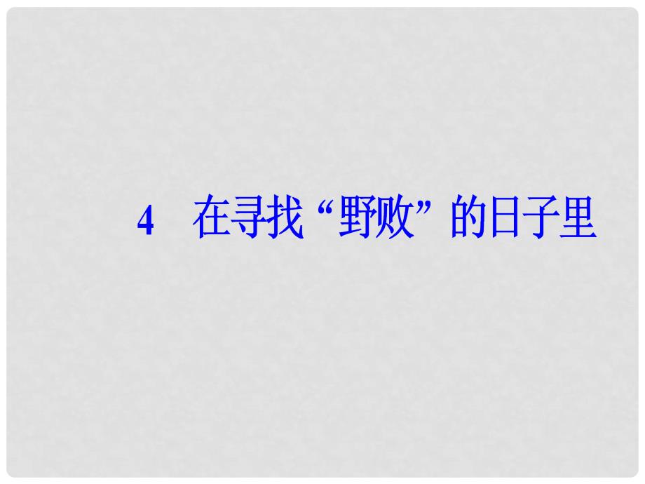 高中语文 第一单元 4 在寻找“野败”的日子里课件 粤教版选修《传记选读》_第2页