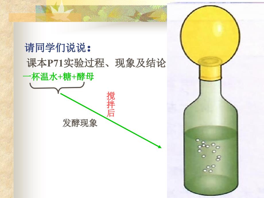 第二节人类对细菌及真菌的利用课件_第4页