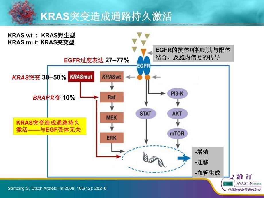 唯一治疗mCRC疗效不受KRAS状态影响的靶向药物PPT精品课件_第5页