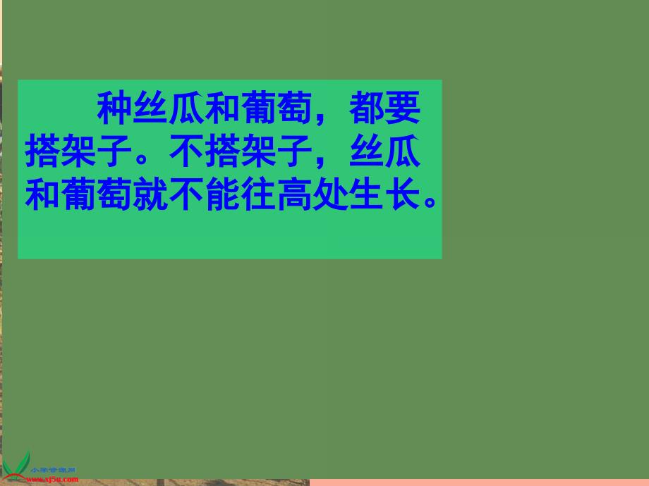 2022年四年级语文上册第2单元6.爬山虎的脚课件新人教版_第2页