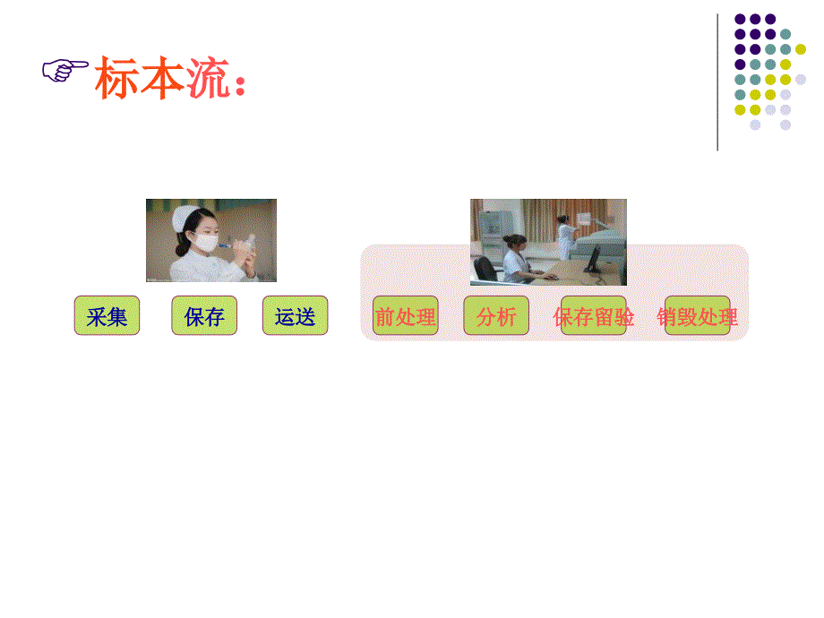 分析前质量保证_第5页