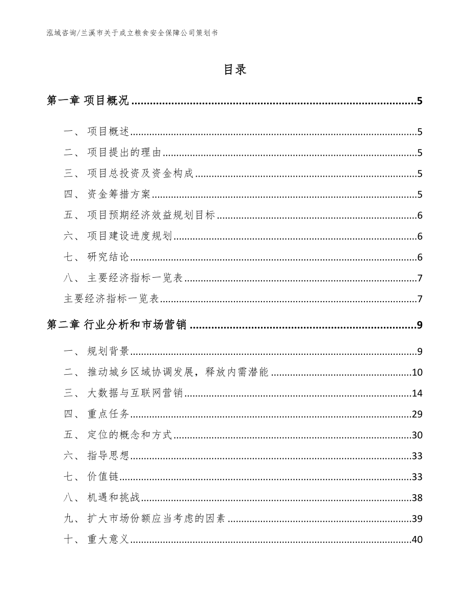 兰溪市关于成立粮食安全保障公司策划书_第1页