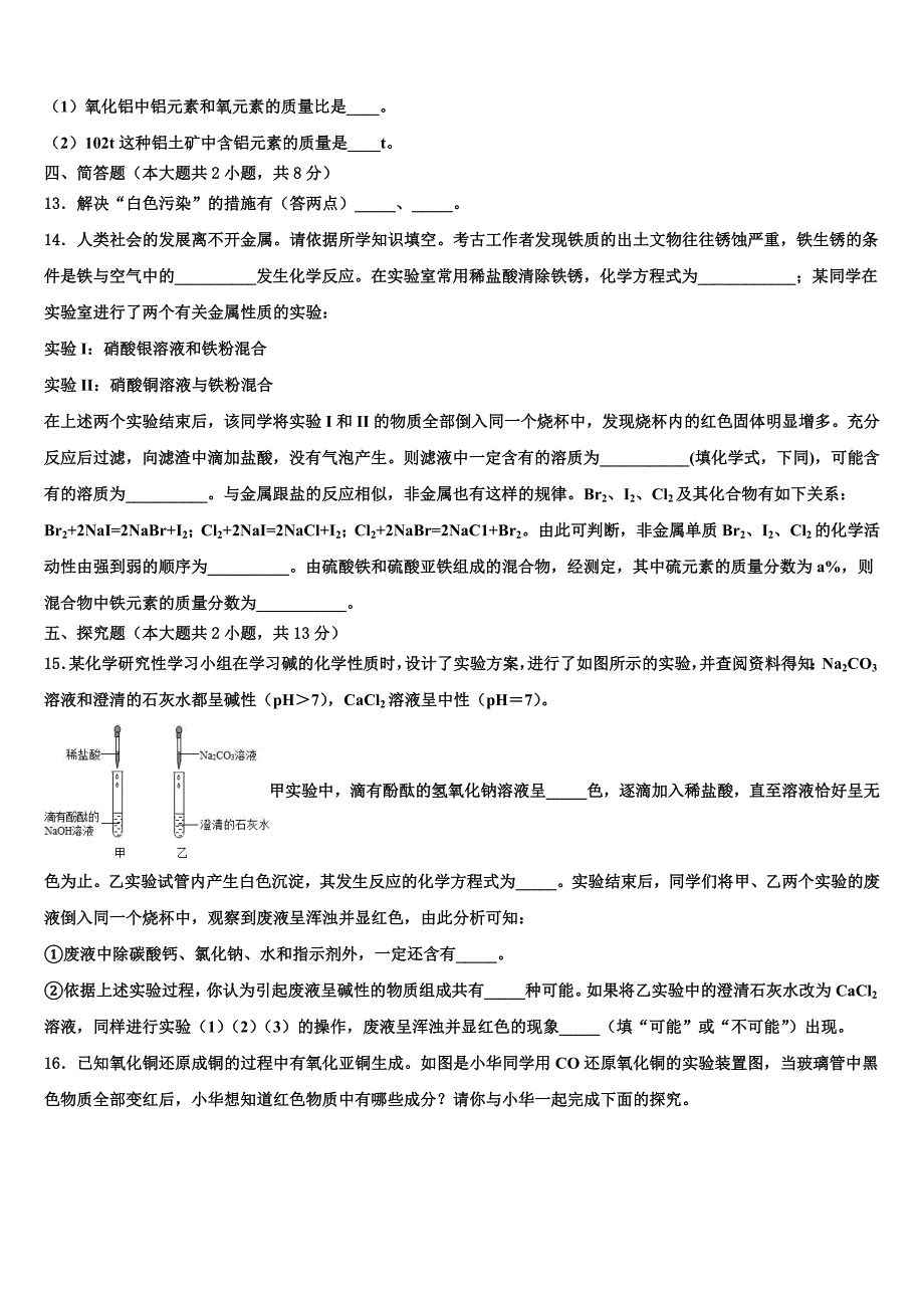 广东省深圳市星火教育2023学年中考化学最后冲刺浓缩精华卷（含答案解析）.doc_第3页