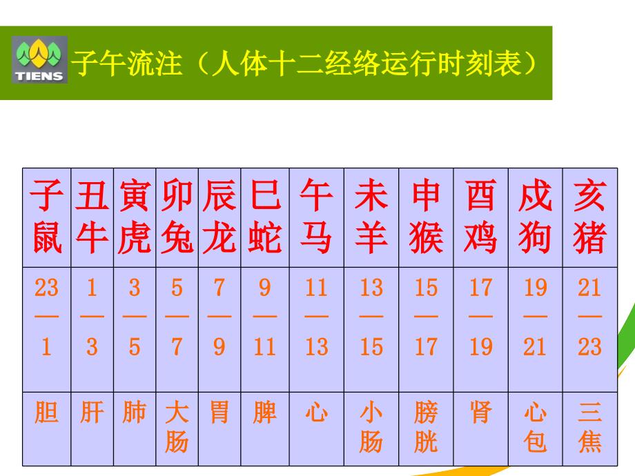 最新中医五行与天狮产品精选PPT文档_第4页