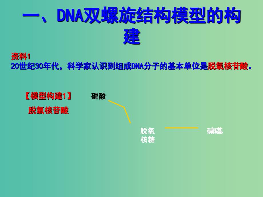 高中生物 专题3.2 DNA的结构同步精品课件 新人教版必修2.ppt_第2页