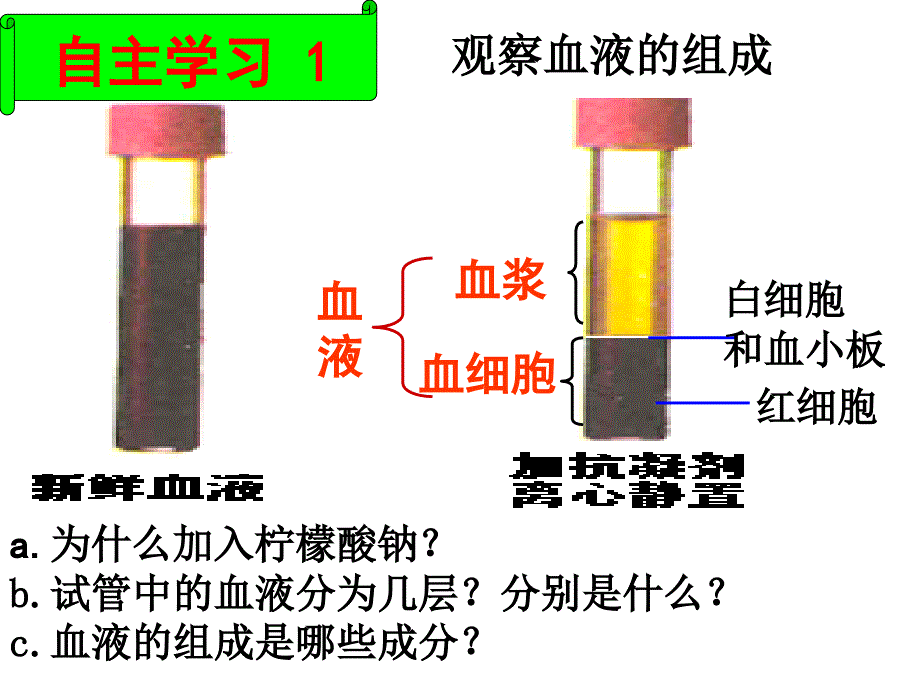 第一节血液_第3页