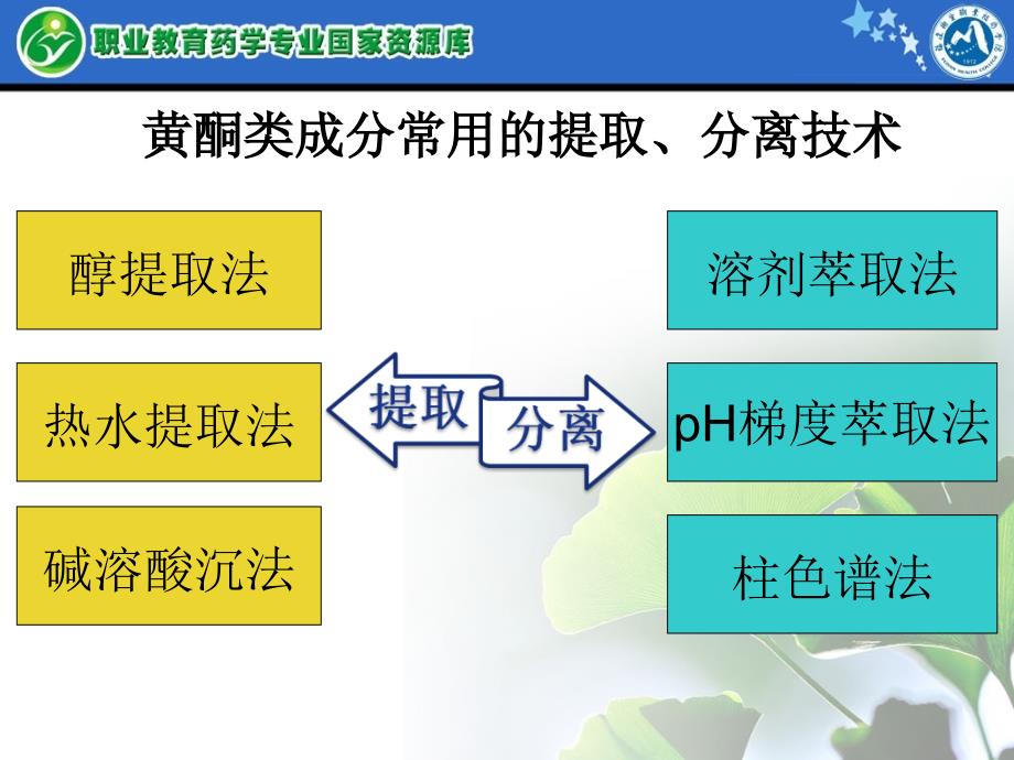 黄酮类化合物提取技术ppt课件_第2页