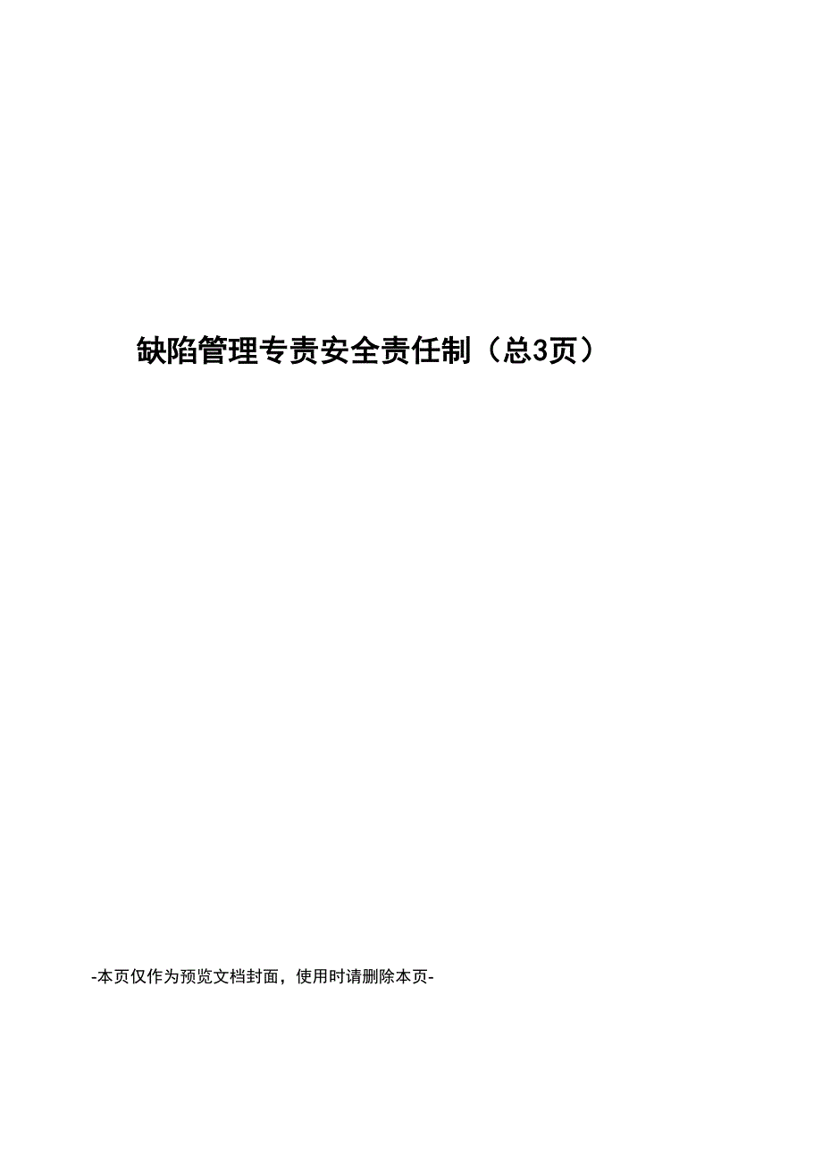 缺陷管理专责安全责任制_第1页