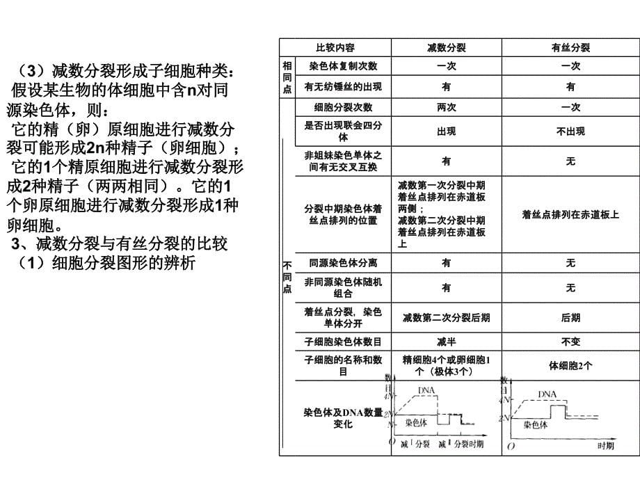 高二生物遗传的细胞基础ppt课件_第5页