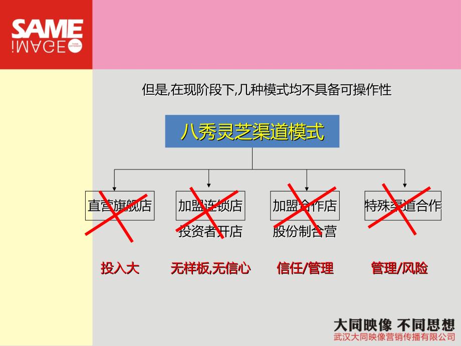 八秀灵芝渠道建设暨招商方案_第3页