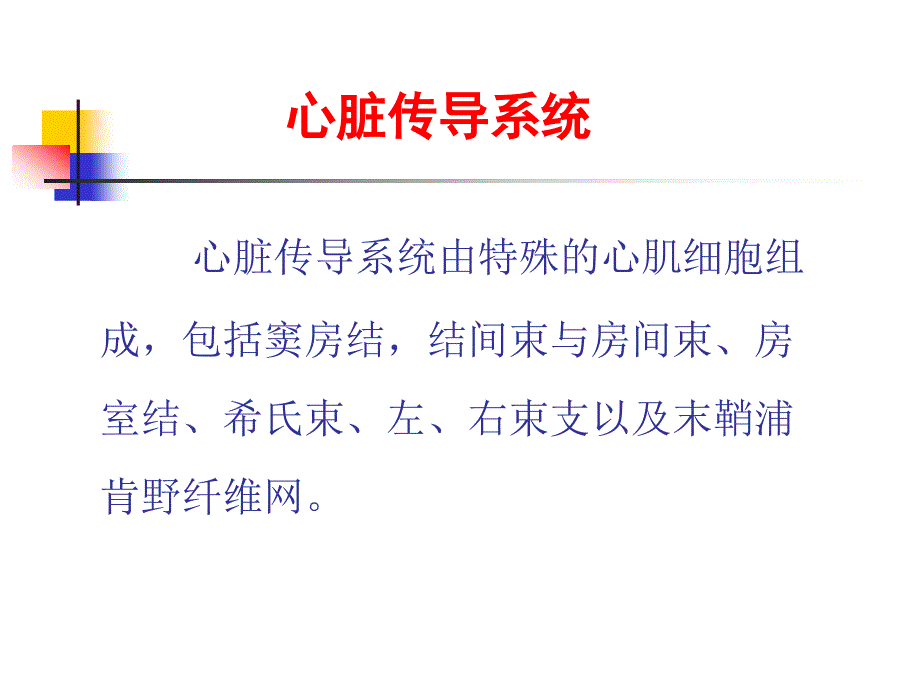 第版内科学心律失常概述 ppt课件_第2页