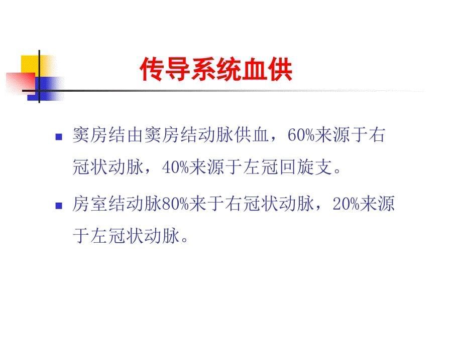 第版内科学心律失常概述 ppt课件_第5页