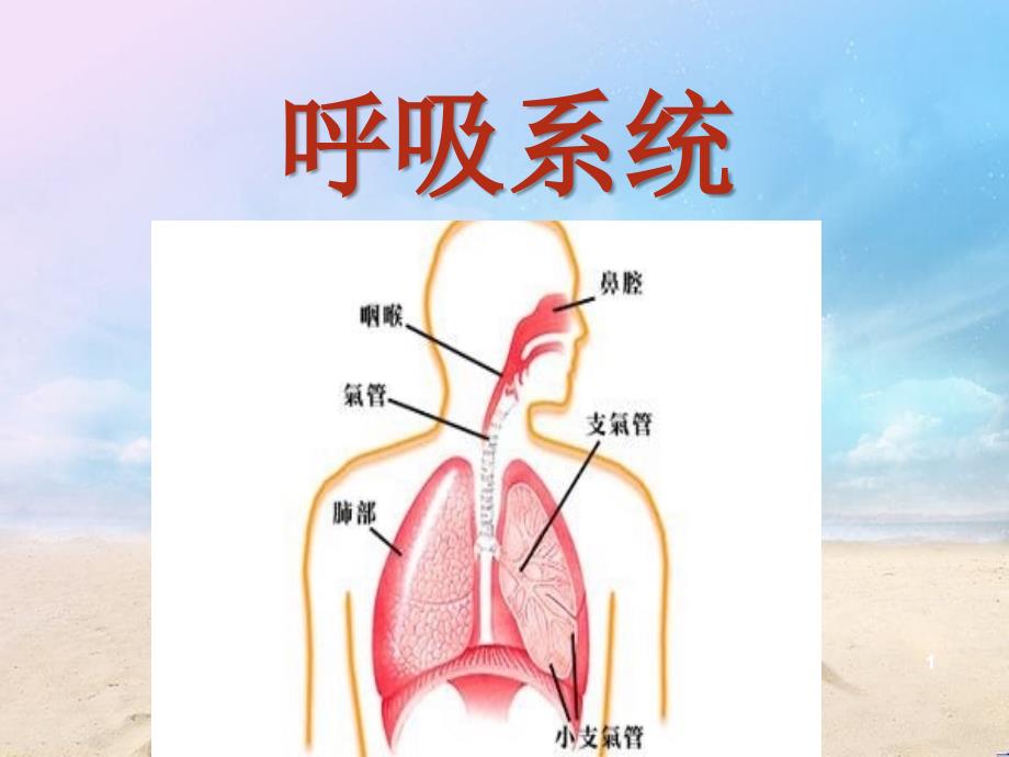 呼吸系统常见疾病的主要症状和体征_第3页