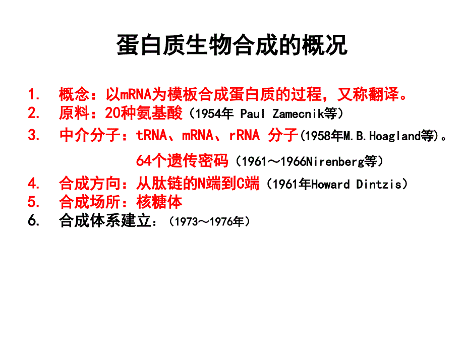 生物化学-蛋白质的生物合成课件_第2页