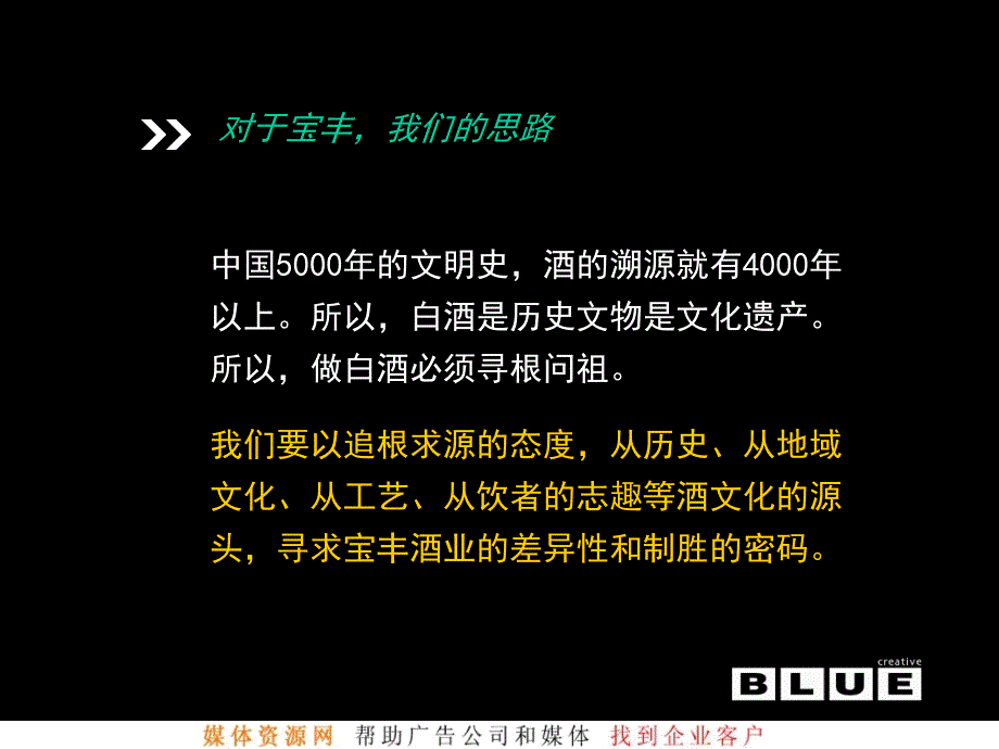 宝丰酒整合推广方案_第3页