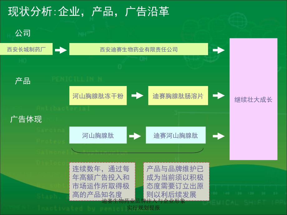 迪赛生物药业品牌注入与企业形象实行规划提报课件_第2页