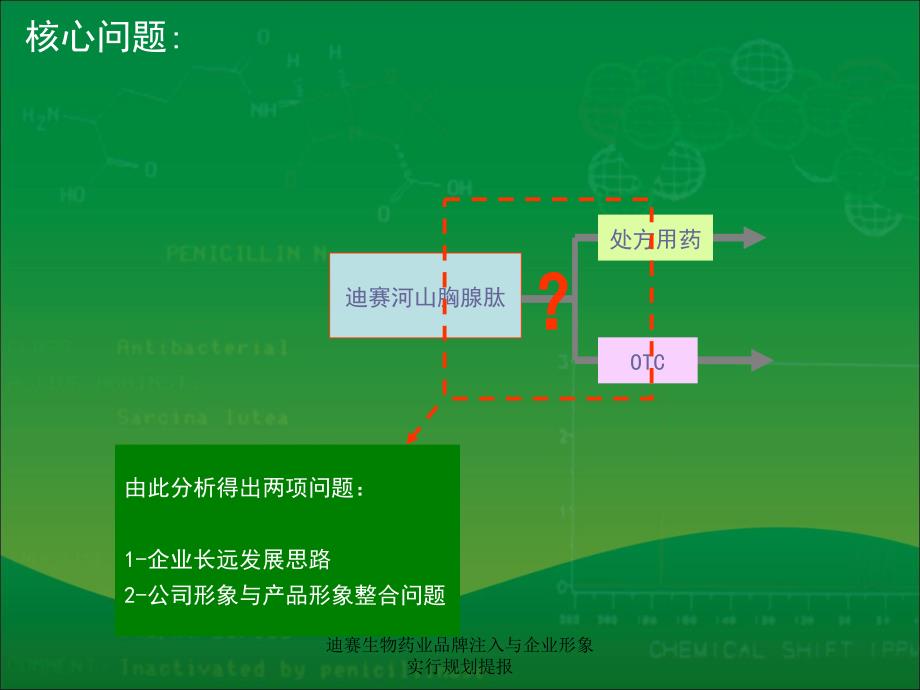 迪赛生物药业品牌注入与企业形象实行规划提报课件_第4页