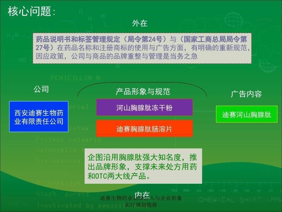 迪赛生物药业品牌注入与企业形象实行规划提报课件_第5页