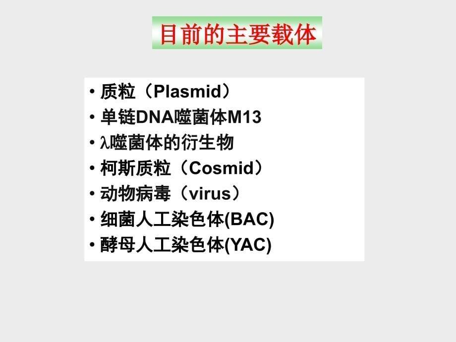 《分子生物学载体》PPT课件.ppt_第5页