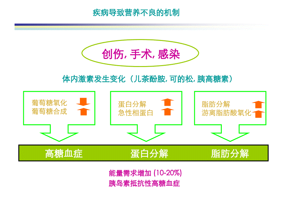 肠内营养支持与配方选择课件_第2页