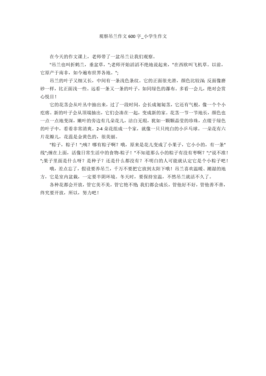 观察吊兰作文600字_第1页