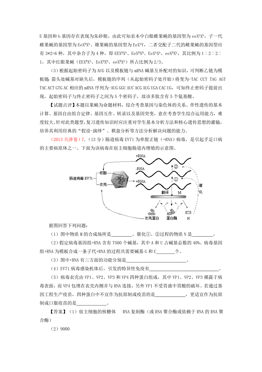 10.遗传的分子基础.doc_第4页