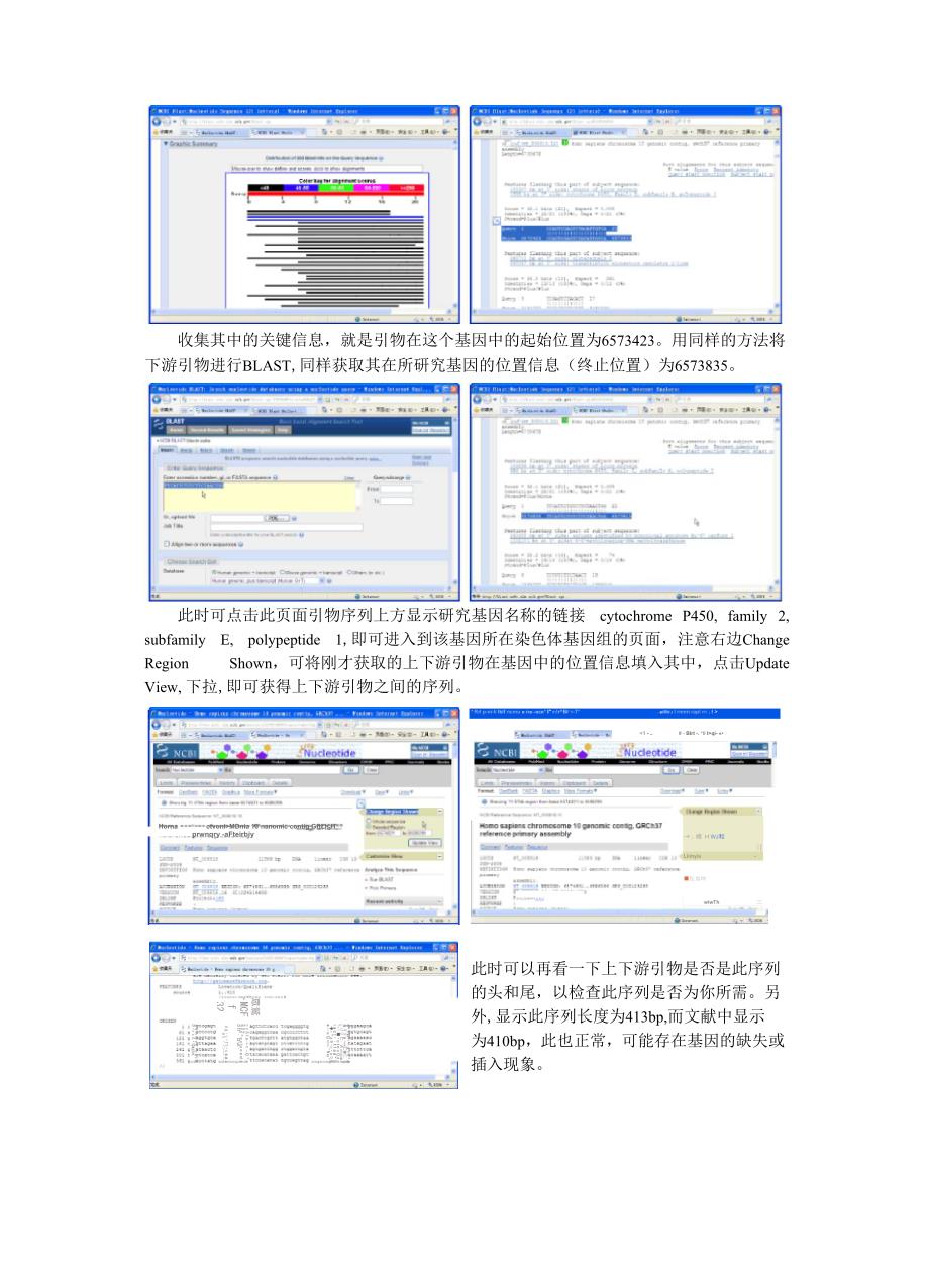 知道引物获取序列_第2页