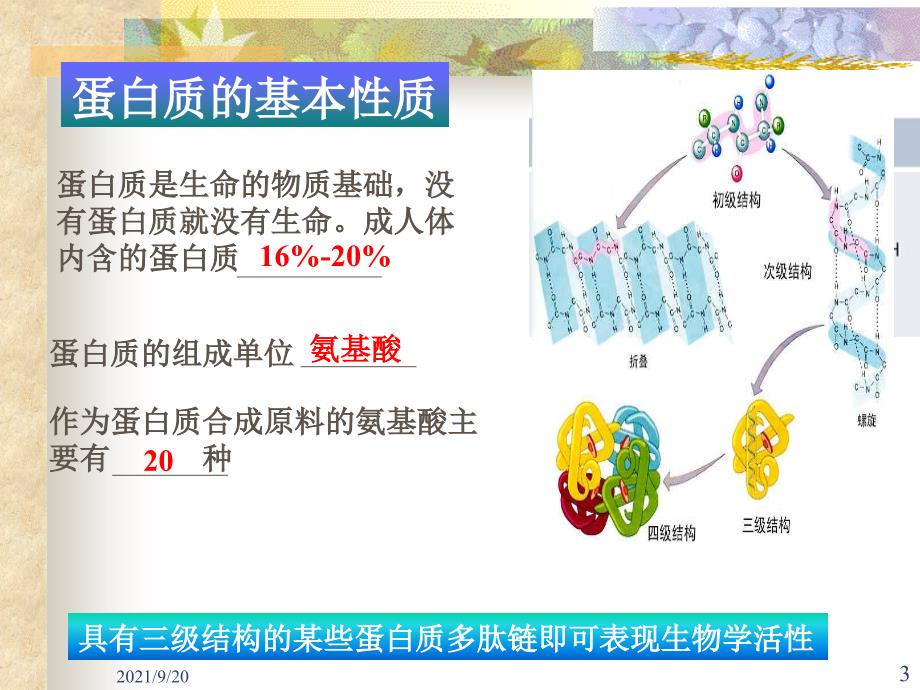 保健食品蛋白类2_第3页